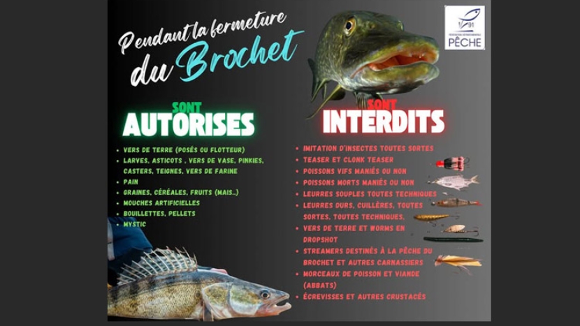Pendant la fermeture du brochet...