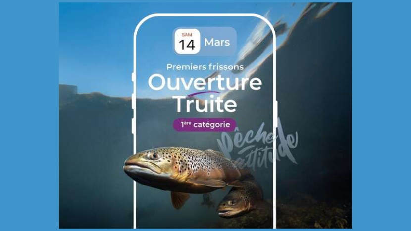 Que la kermesse commence !