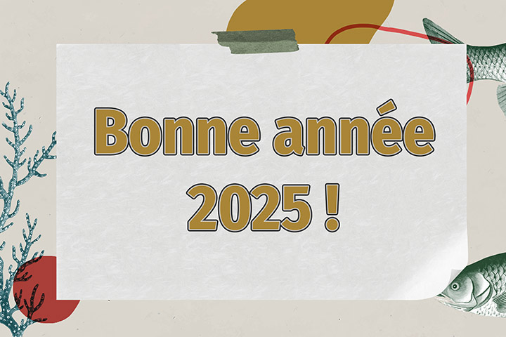 Bonne année 2025