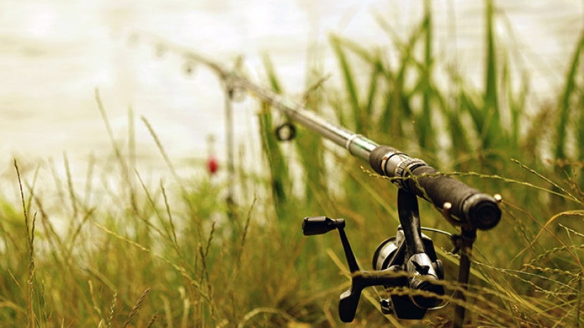 Bonne année halieutique 2026 !