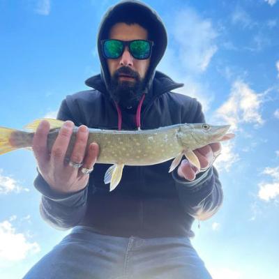 137503322 221570276185736 1843603570663496596 N