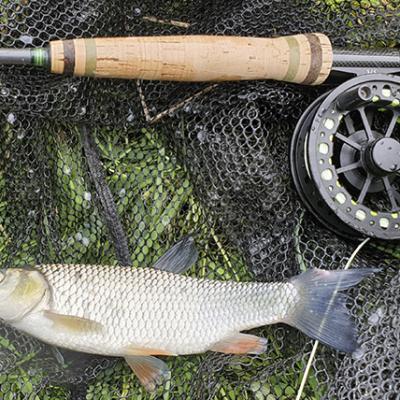 20220418 Chevesne Mouche