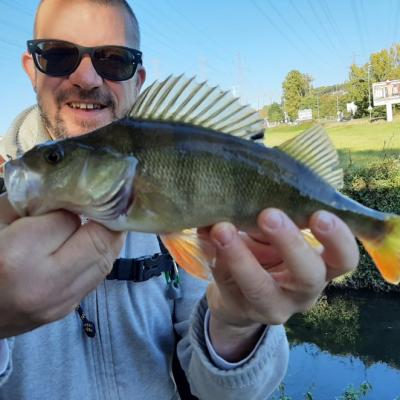 245642690 2298739533593808 5368845965267459012 N