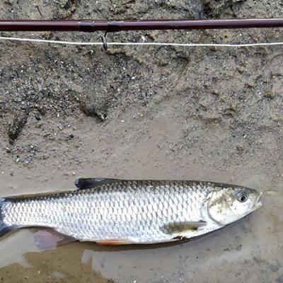 275075953 677553453666786 2763409437907923300 N